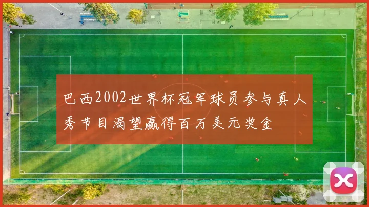 巴西2002世界杯冠军球员参与真人秀节目渴望赢得百万美元奖金