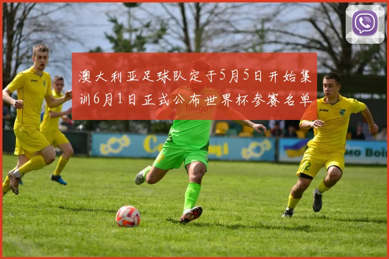 澳大利亚足球队定于5月5日开始集训6月1日正式公布世界杯参赛名单